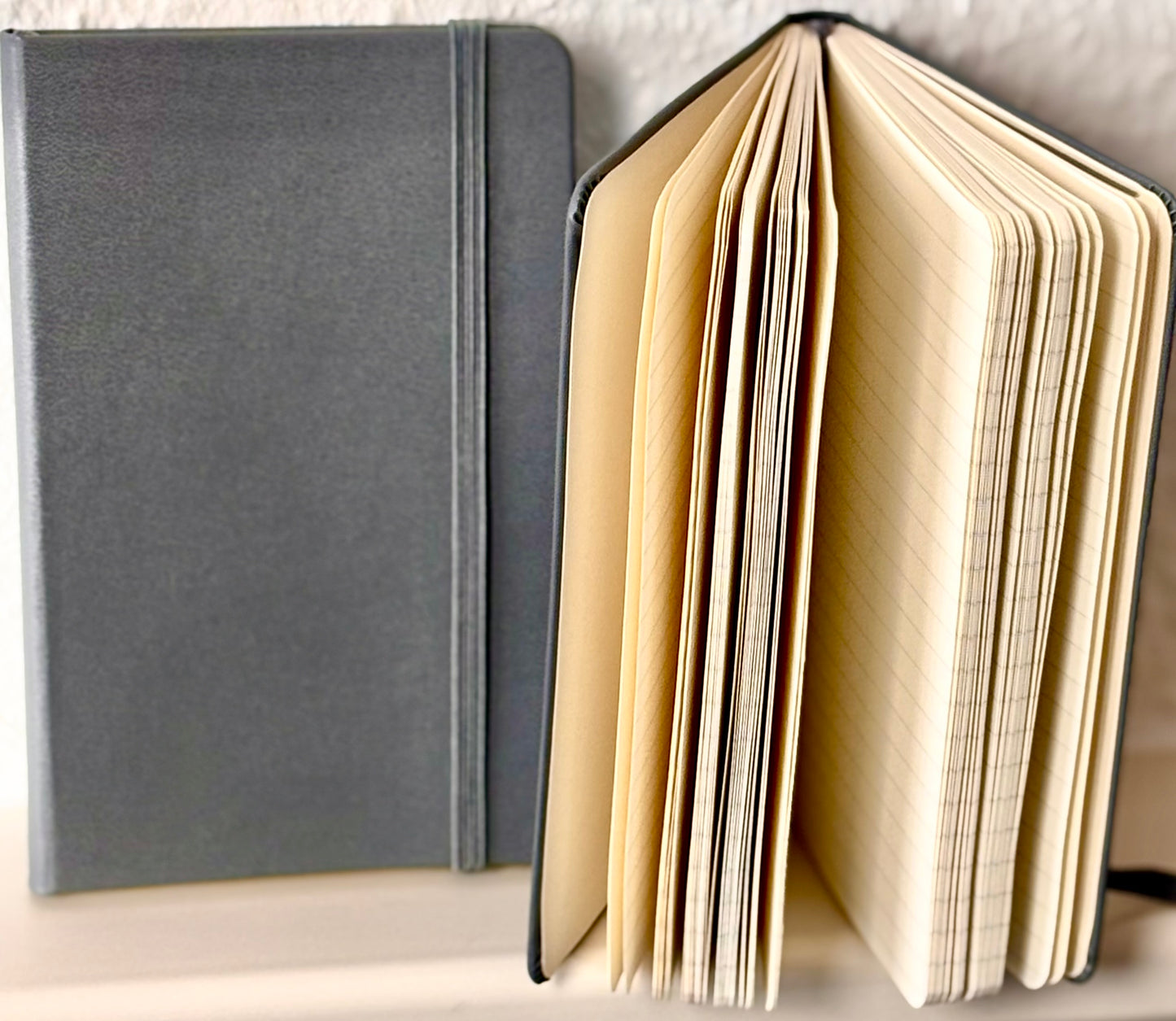 Moleskine Hardcover Notizbuch grau