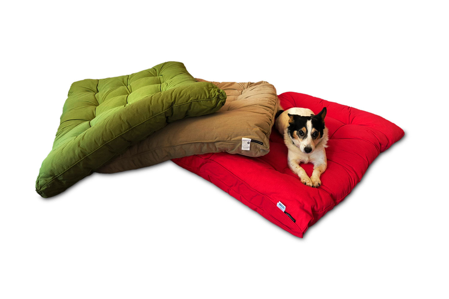 Madison Lounge/Paletten/Hunde Kissen grün – Talent-Lots