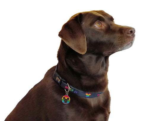 Hunde Halsband Disney Pride